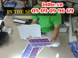 In thẻ sinh viên giá rẻ, mọi số lượng, lấy liền